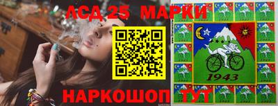 apvp Кингисепп