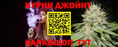 apvp Кингисепп
