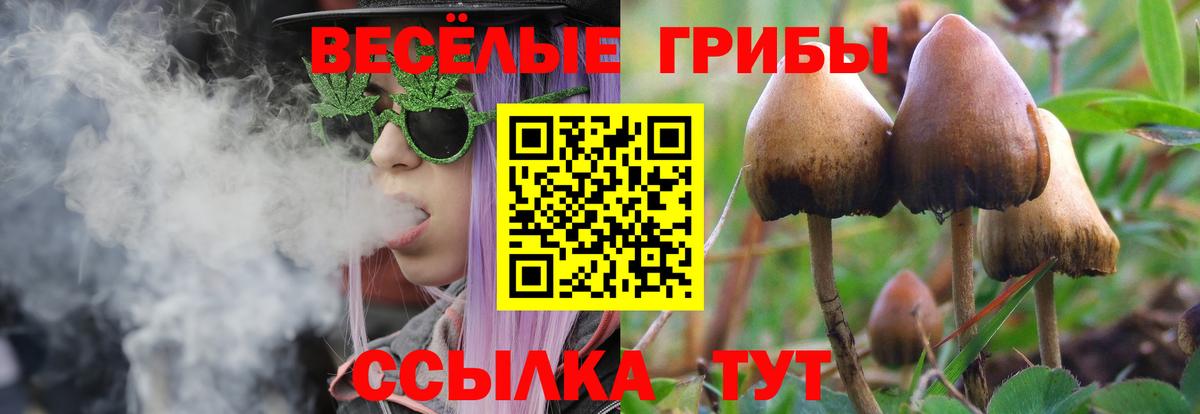 Псилоцибиновые грибы MAGIC MUSHROOMS Барабинск